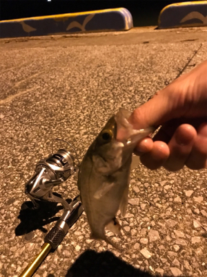 臼杵港ライトゲーム