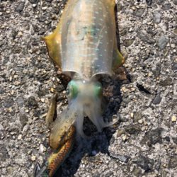 今日は、絶好調^_^