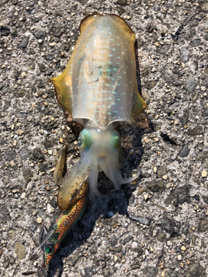 今日は、絶好調^_^