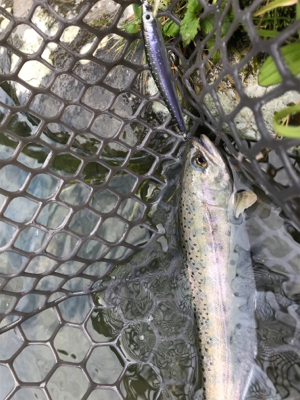 朽木渓流魚センター