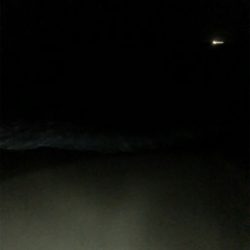 ナイトマゴチング