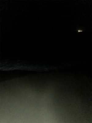 ナイトマゴチング