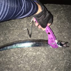 大阪奥湾ワインド スローリトリーブ