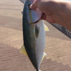 サバサバサバサバサバサバ…