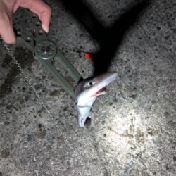 台風前の神戸遠征