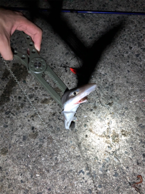 台風前の神戸遠征