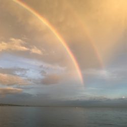 まだまだ、小さい！