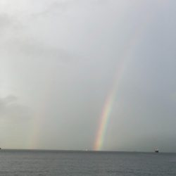 タチタチサゴニー