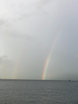 タチタチサゴニー