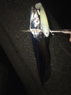 タチサゴパターン、ラストが…