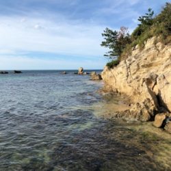 日本海爆風デイエギング