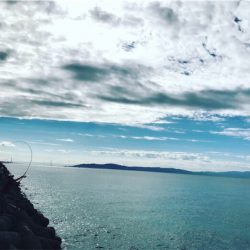 早朝ショアジギング