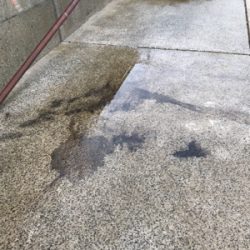 長門周辺 アオリイカ釣果