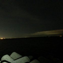 まずめのタッチーワインド(o^^o)