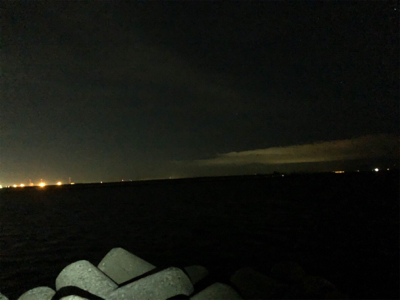 まずめのタッチーワインド(o^^o)