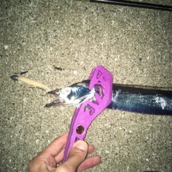 爆風フロートアジングとスローワインド