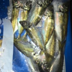 もうすぐメバルの季節か？