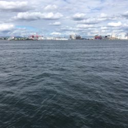 コスモでのんびりと(^^)