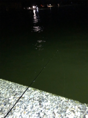 アジングのつもりが…