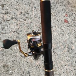 朝一から行って来ました…平磯へ