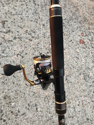 朝一から行って来ました…平磯へ