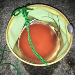 タチウオゲット