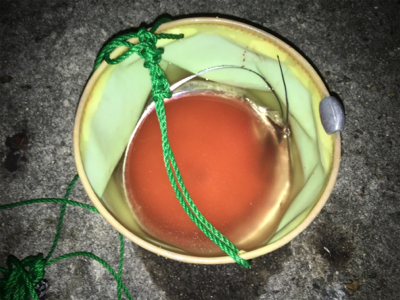 タチウオゲット