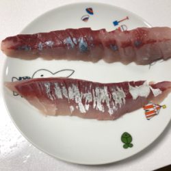 ショアジギング不調