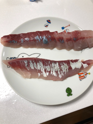 ショアジギング不調