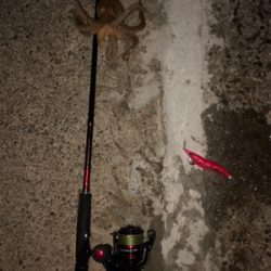 久しぶりの和歌山遠征