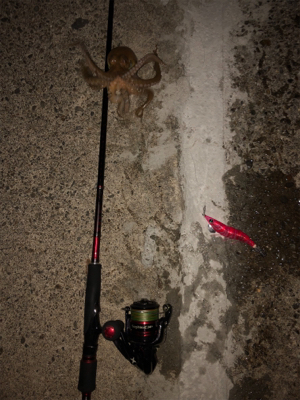 久しぶりの和歌山遠征