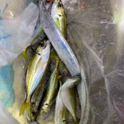 ジグサビキ→ワインド