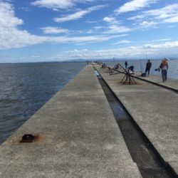 ポートアイランドにて、ノマセ釣り