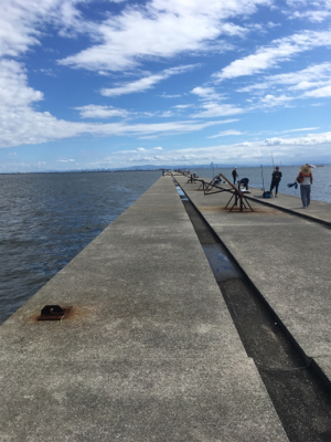 ポートアイランドにて、ノマセ釣り