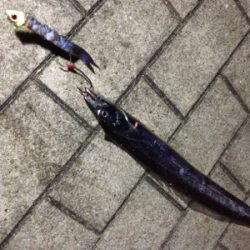 爆発力なし、サイズは小型化