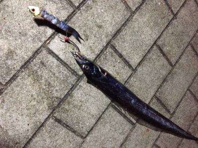 爆発力なし、サイズは小型化