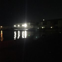 タチウオサバサバ