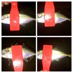 アジンガー1848〜2038