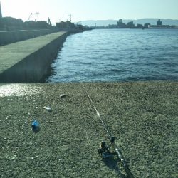 釣れるんですが…