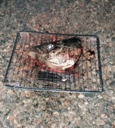 メジロキャッチ！