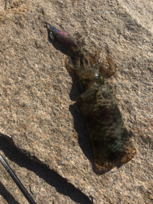 この時期にしたらいいサイズ