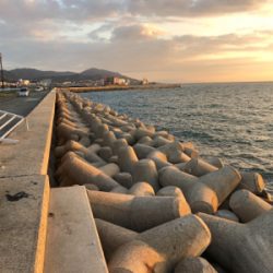 淡路島有給釣行