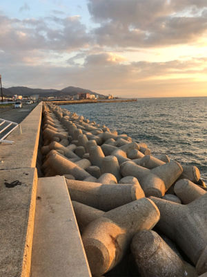 淡路島有給釣行