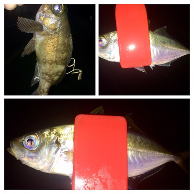 アジンガー1840〜2041