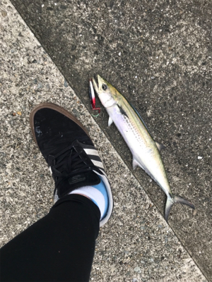 のませのはずが、、、、