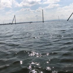 ナイトゲーム&デイウェーディング