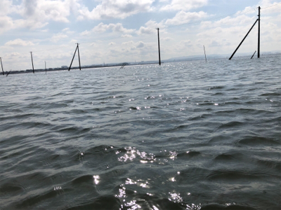 ナイトゲーム&デイウェーディング