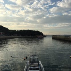 のんびりエギング