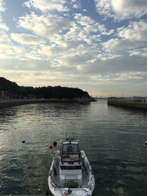 のんびりエギング