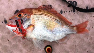 マイボートでタイラバ釣行